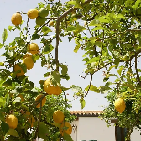 Terra Dei Limoni Hotel
