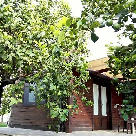 Hotel Terra Dei Limoni 4*